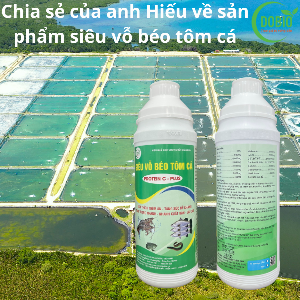 Chia sẻ của anh Đặng Văn Hiếu Hải Hà Quảng Ninh khi dùng Siêu vỗ béo tôm cá.