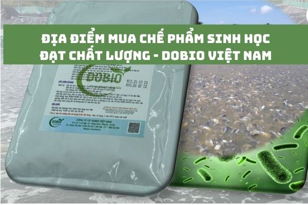 Kinh nghiệm lựa chọn địa điểm mua chế phẩm sinh học đạt chất lượng