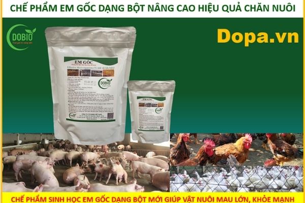 Tham khảo bảng giá chế phẩm sinh học phổ biến hiện nay