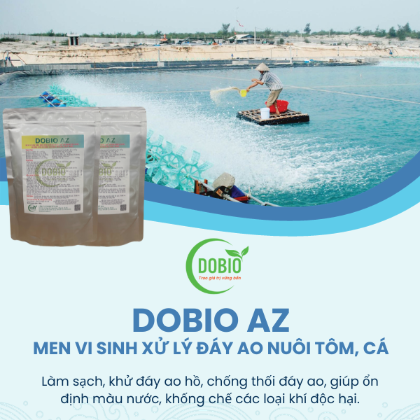 Chế phẩm men vi sinh DOBIO AZ - Giải pháp tối ưu cho ao nuôi thủy sản
