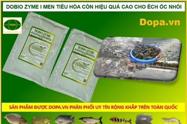 Men tiêu hóa cho cá - Sản phẩm hỗ trợ đắc lực cho người dân