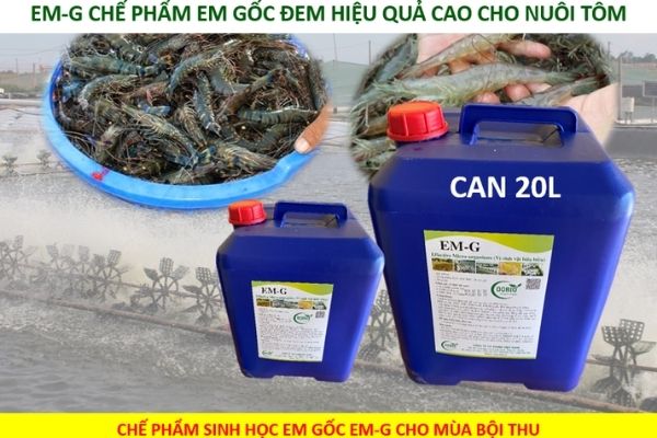 Khám phá 4 dòng chế phẩm sinh học tốt và địa điểm mua chế phẩm sinh học