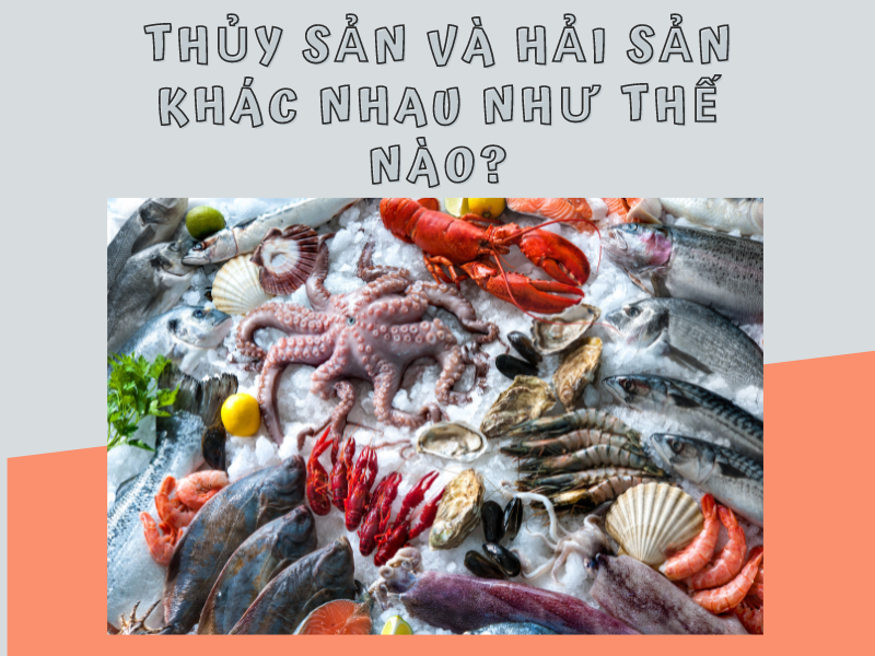 Thủy sản và Hải sản khác nhau hay giống nhau