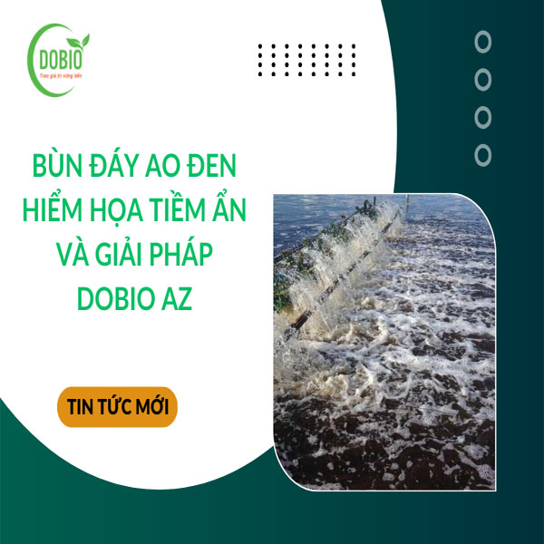 Bùn đáy ao đen - Hiểm họa tiềm ẩn và giải pháp DOBIO AZ