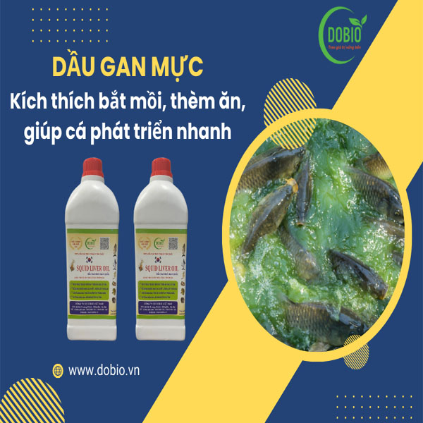 Câu chuyện thành công của anh Nguyễn Văn Nam khi sử dụng dầu gan mực SQUID LIVER OIL