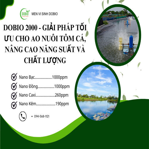 DOBIO 2000 - Giải pháp tối ưu cho ao nuôi tôm cá, nâng cao năng suất và chất lượng