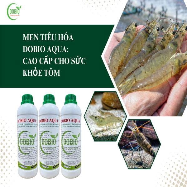 Men tiêu hóa DOBIO AQUA: Cao Cấp cho sức khỏe tôm