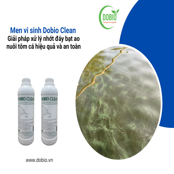 Men vi sinh Dobio Clean: Giải pháp xử lý nhớt đáy bạt ao nuôi tôm cá hiệu quả và an toàn