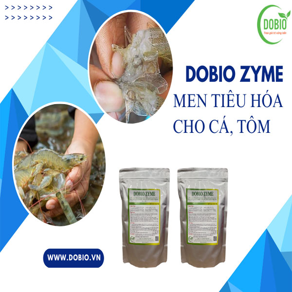 Men tiêu hóa DOBIO ZYME - Giải pháp vàng cho thủy sản khỏe mạnh, tăng trưởng nhanh