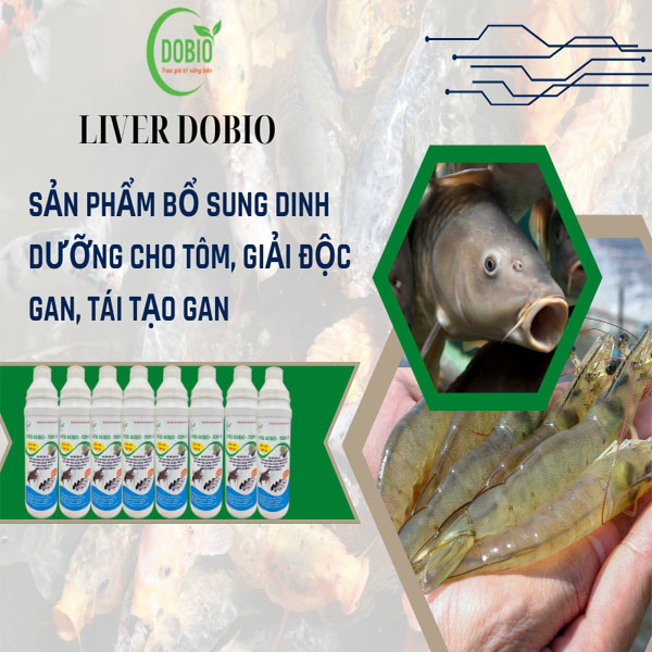 LIVER DOBIO - Bí quyết giúp tôm cá khỏe mạnh, phát triển vượt trội