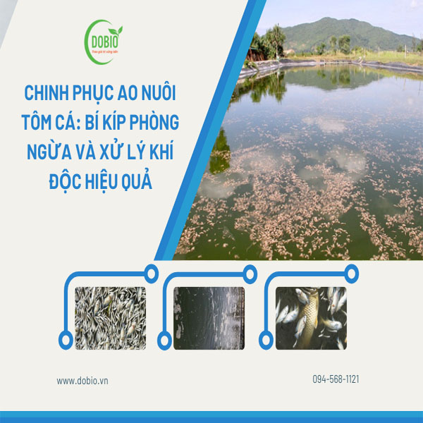 Chinh phục ao nuôi tôm cá: Bí kíp phòng ngừa và xử lý khí độc hiệu quả