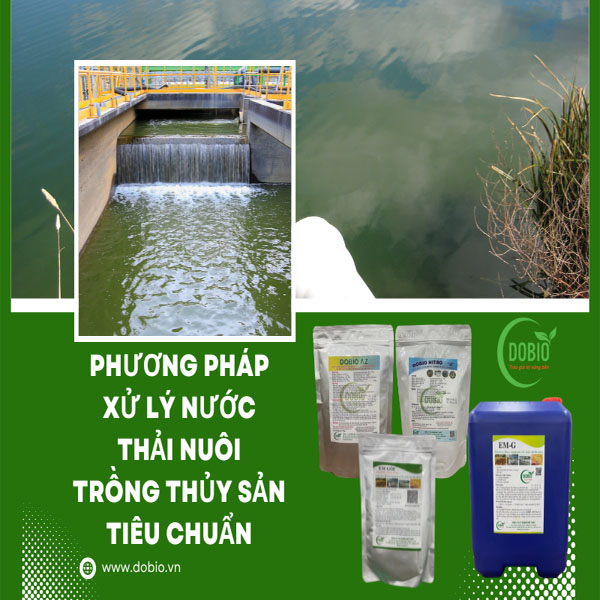 Phương pháp xử lý nước thải nuôi trồng thủy sản tiêu chuẩn