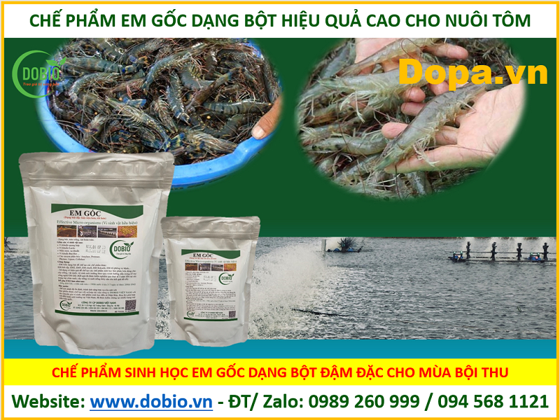 Chế phẩm EM G gốc chính