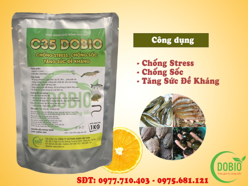 Tổng quan về c35 DOBIO