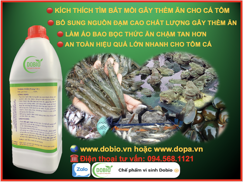 dầu gan mực tự nhiên vô cùng an toàn