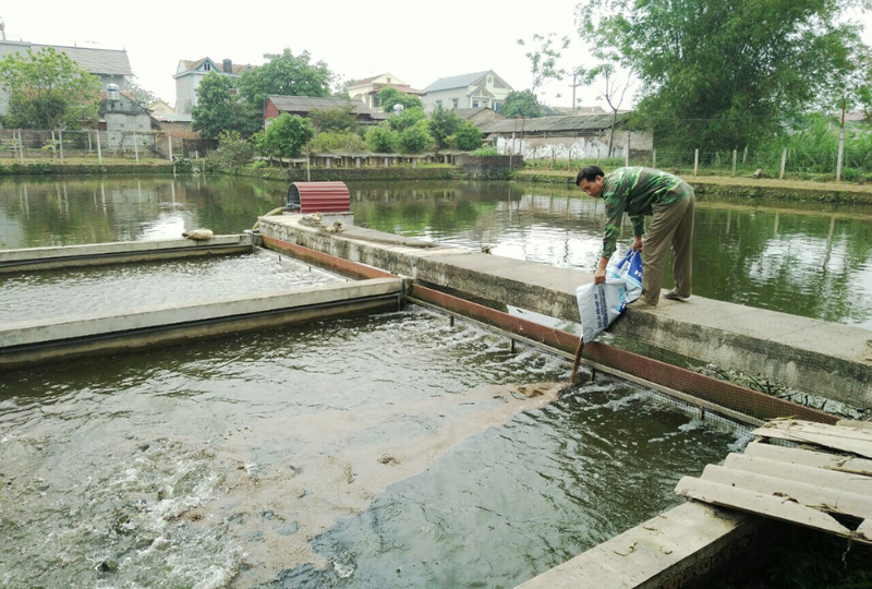 Bổ sung khoáng chất cho thủy sản