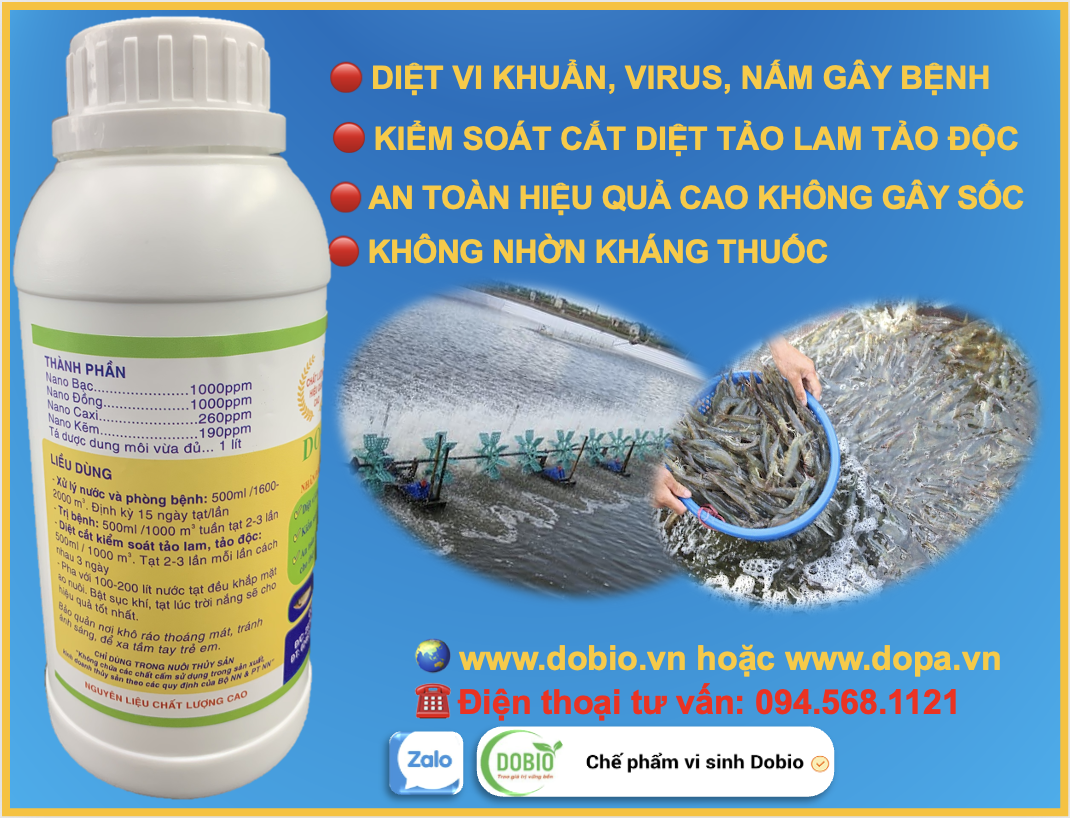 Thành phần có trong 1L DOBIO 2000 nano bạc đồng