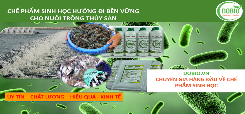 phát huy hiệu quả khi sử dụng đúng liều lượng