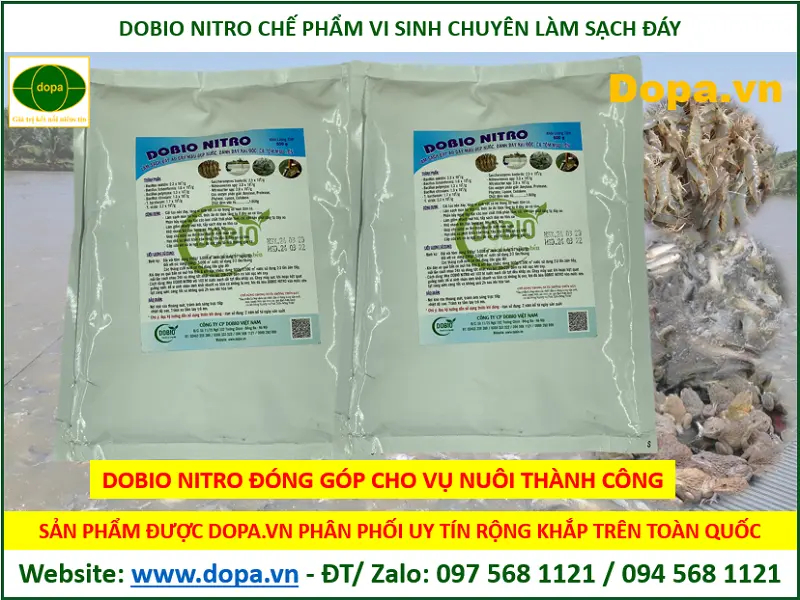 Cách sử dụng men vi sinh DOBIO NITRO hiệu quả