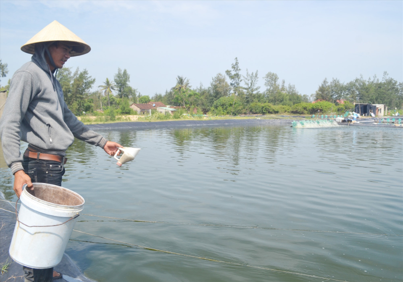 Trong quá trình nuôi bà con cần chú trọng đầu tư vào thức ăn cho tôm