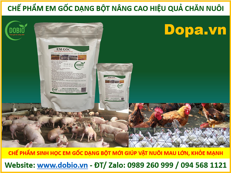  Bổ sung vào thức ăn hoặc pha với nước