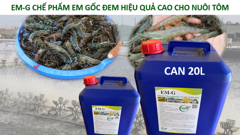 Tìm mua chế phẩm sinh học chất lượng