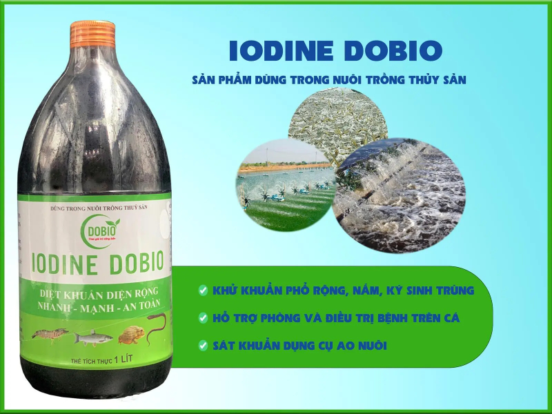 Bà con nên sử dụng Iobine Dobio để sát khuẩn ao nuôi cá