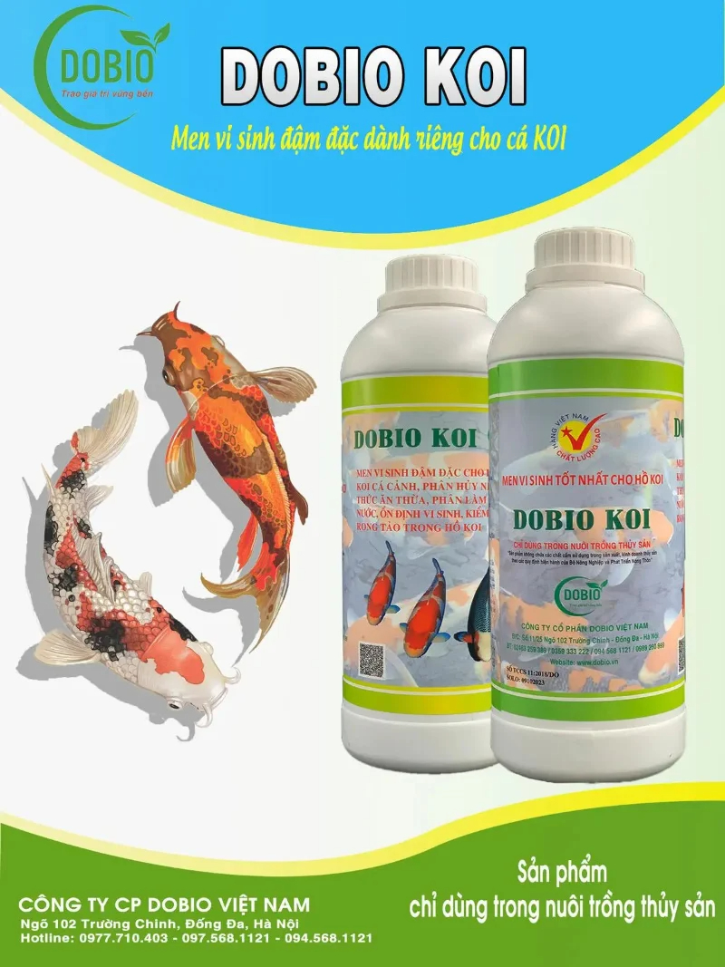 Sản phẩm Dobio Koi