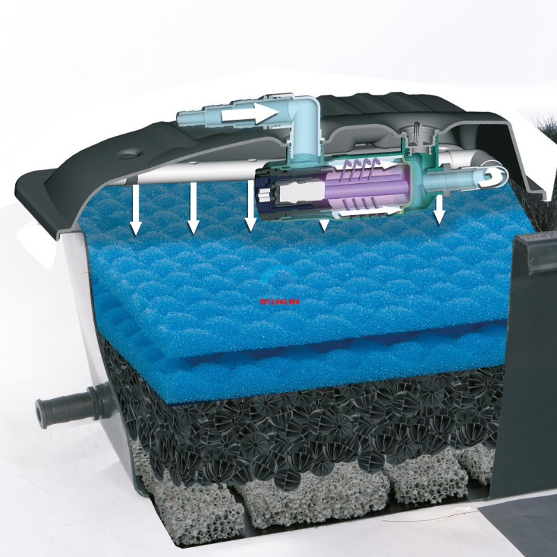 Cách xử lý nước ao nuôi cá phổ biến hiện nay bạn nên biết