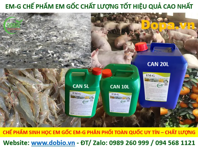 Chế phẩm sinh học EM G của DOBIO 