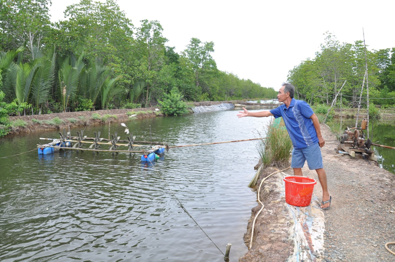 EM gốc rất phổ biến