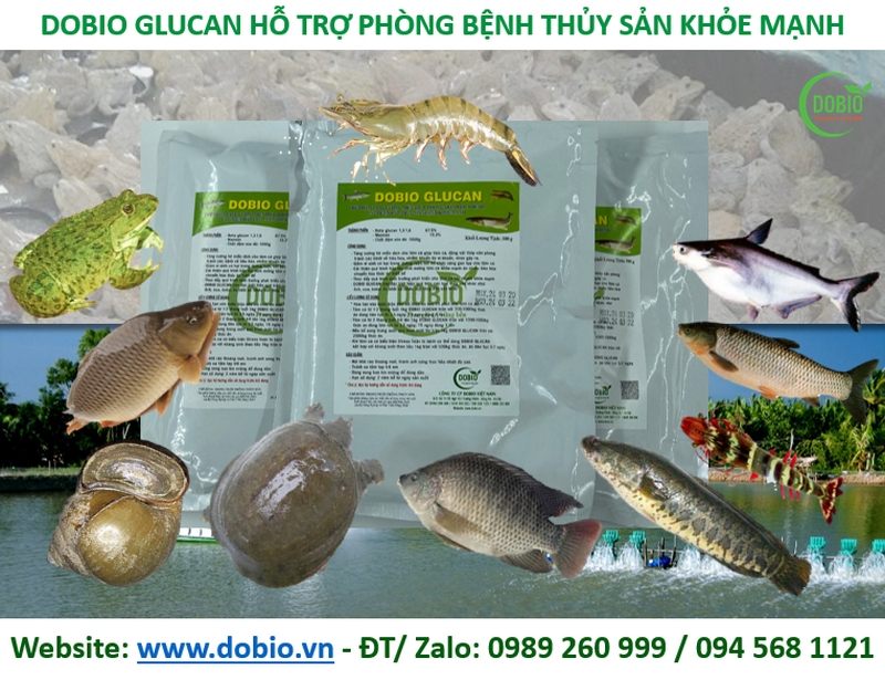 Dobio Glucan 
