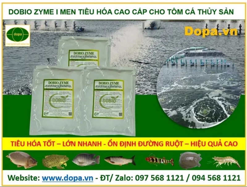 Dobio Zyme