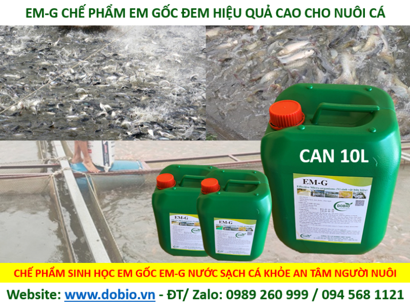 Sản phẩm EM gốc G dạng nước 10l