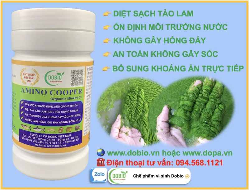 AMINO COOPER 