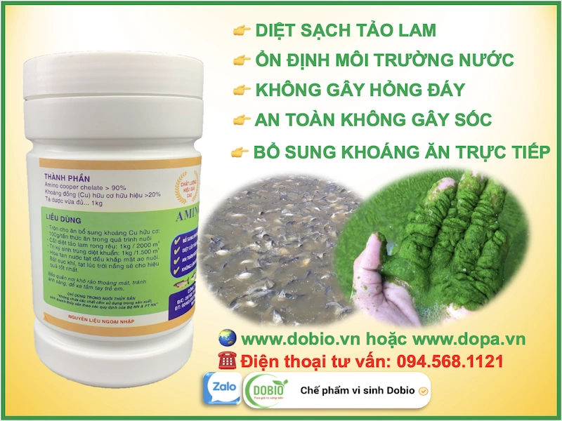 Thành phần của sản phẩm