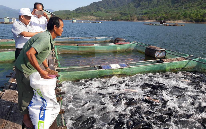 Muốn nuôi trồng thủy sản đạt hiệu quả thì nguyên liệu phải tốt