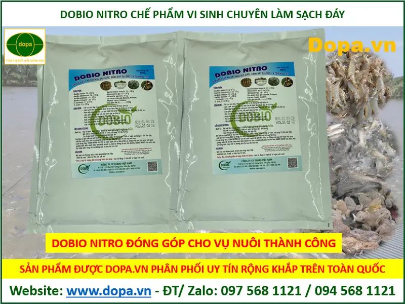 Đảm bảo nguồn nước luôn sạch sẽ