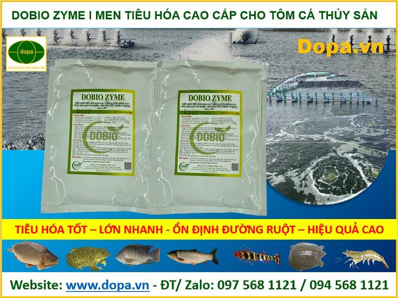 Sử dụng men tiêu hóa 