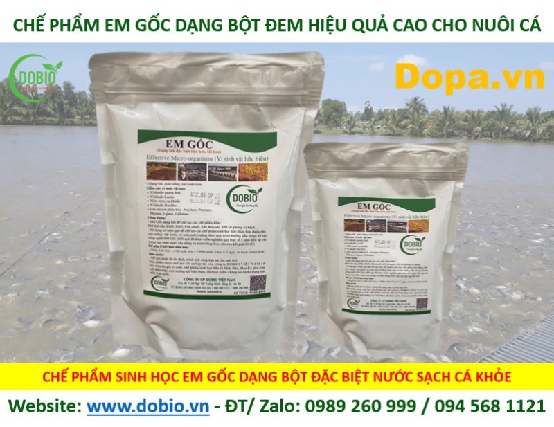 EM Gốc (chế tạo dưới dạng bột)