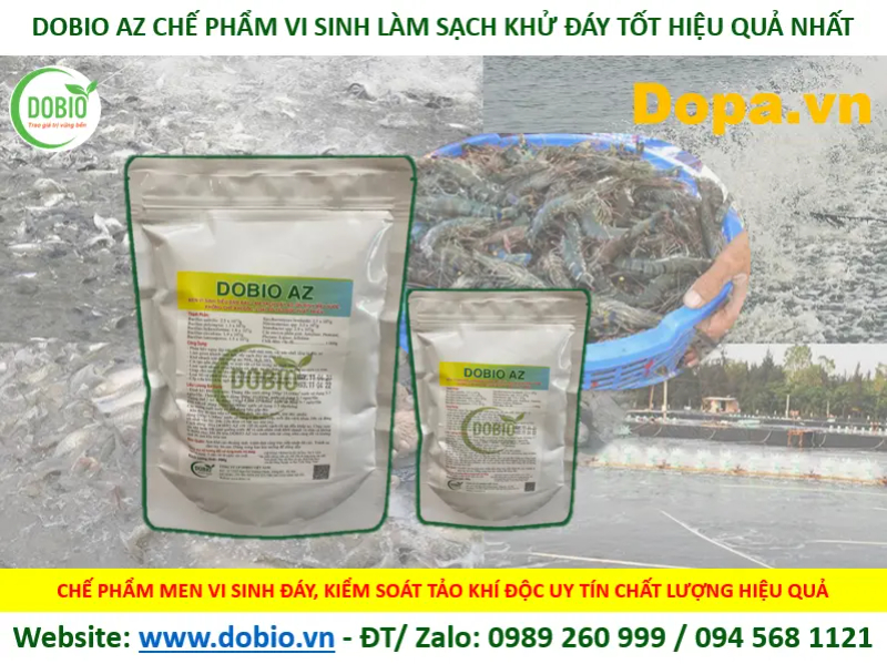 Trong quá trình nuôi nên bổ sung thêm vi sinh 