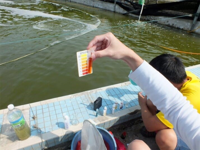 Thành phần hóa học trong nước nuôi trồng thủy sản