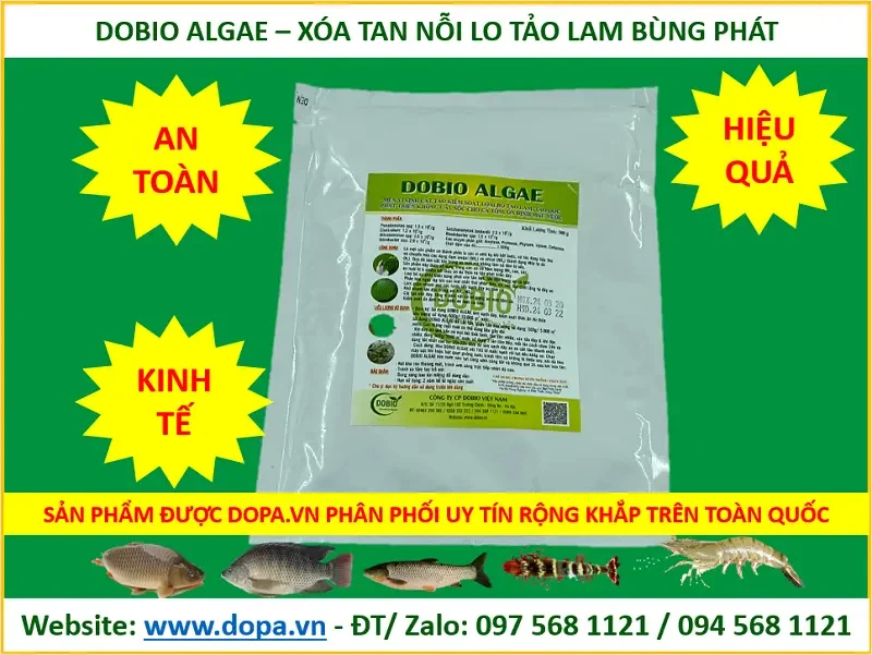 Sản phẩm Dobio Angel loại bỏ tảo độc hiệu quả