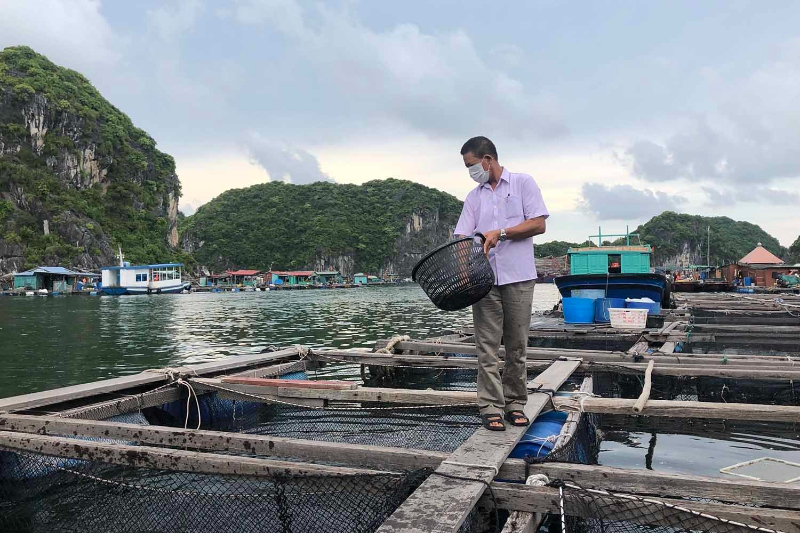 Nuôi trồng thủy sản ngày càng phát triển là bởi vị trí địa lý