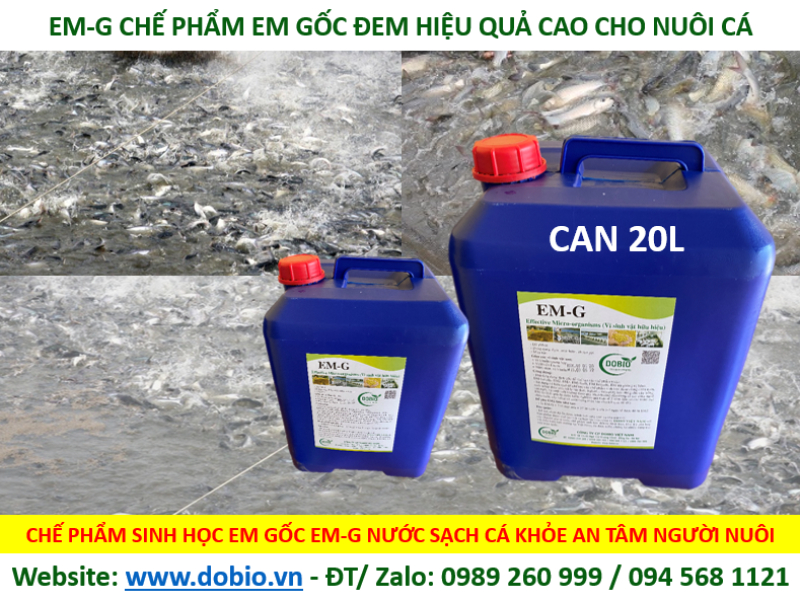 Chế phẩm vi sinh EM G
