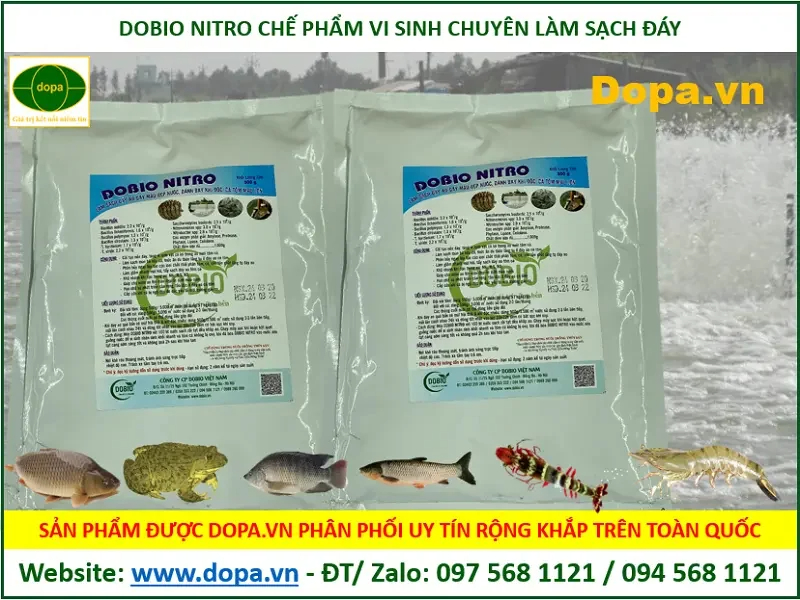 Tạo vi sinh bằng DOBIO NITRO