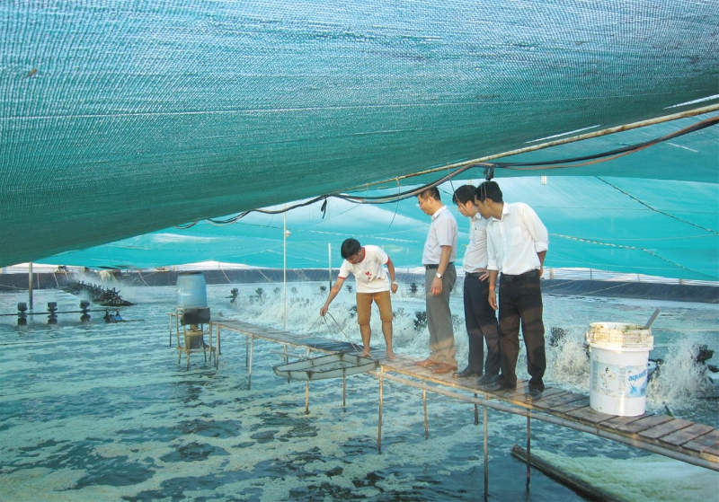 Thế nào là nuôi trồng thủy sản công nghệ cao
