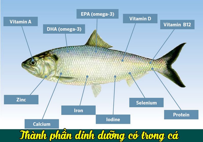 Tự làm chế phẩm sinh học từ cá đơn giản