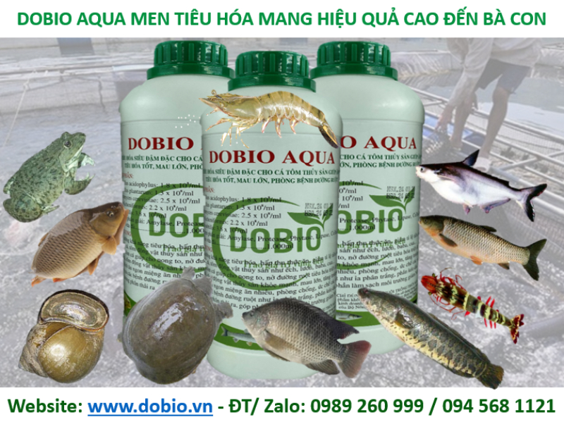 Men vi sinh tiêu hóa cho cá - Dobio Aqua