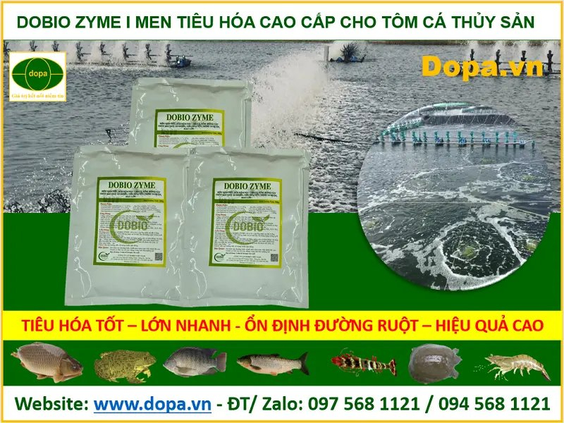 Men tiêu hóa DOBIO ZYME